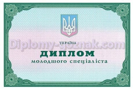 Диплом специалиста 2010-2014 